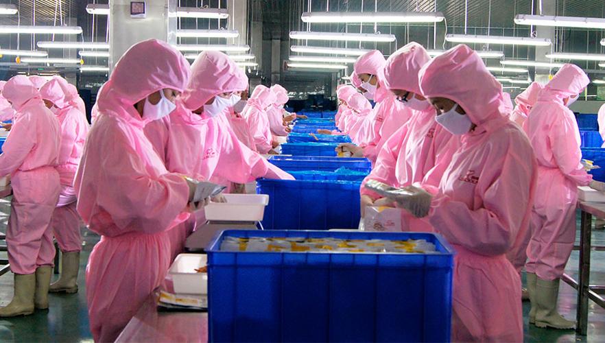 山东路斯宠物食品股份