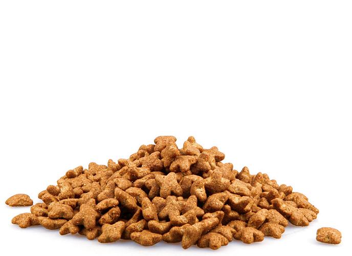 干燥的宠物食品孤立的白色背景图片下载