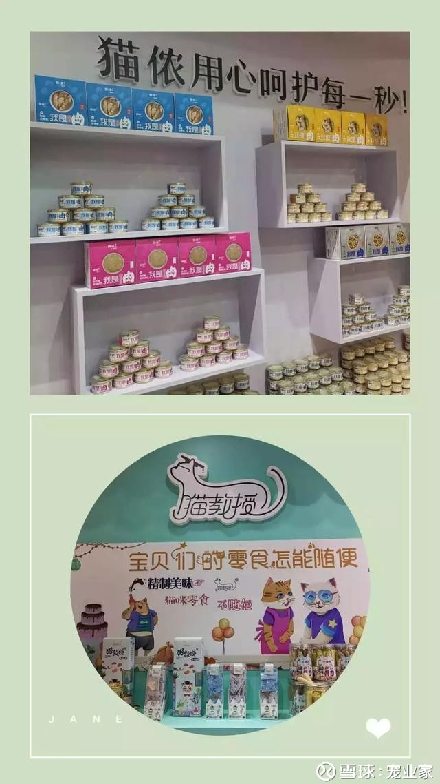 今年京宠展开幕:猫产品井喷,主粮竞争激烈