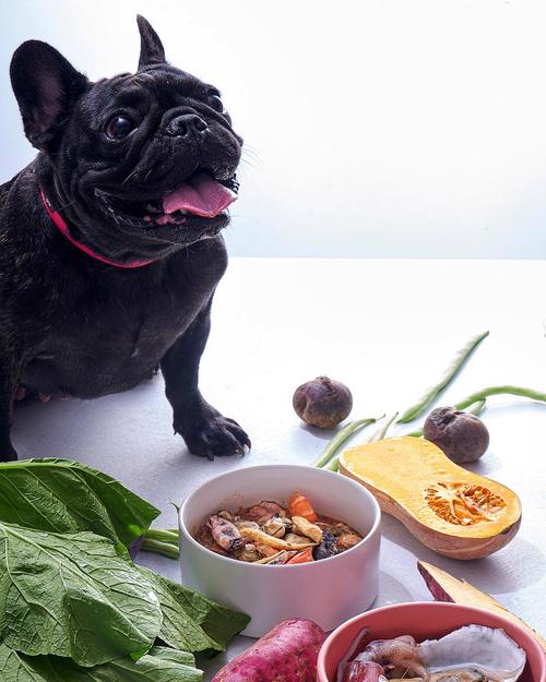bepben宠物食品包装设计欣赏