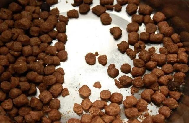 中国宠物食品巨头投资柬埔寨建立新工厂